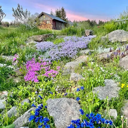 Na Kobylce Pansiyon Modrava